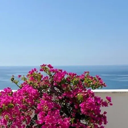 Apartament Tasteful With Immaculate Seaview *